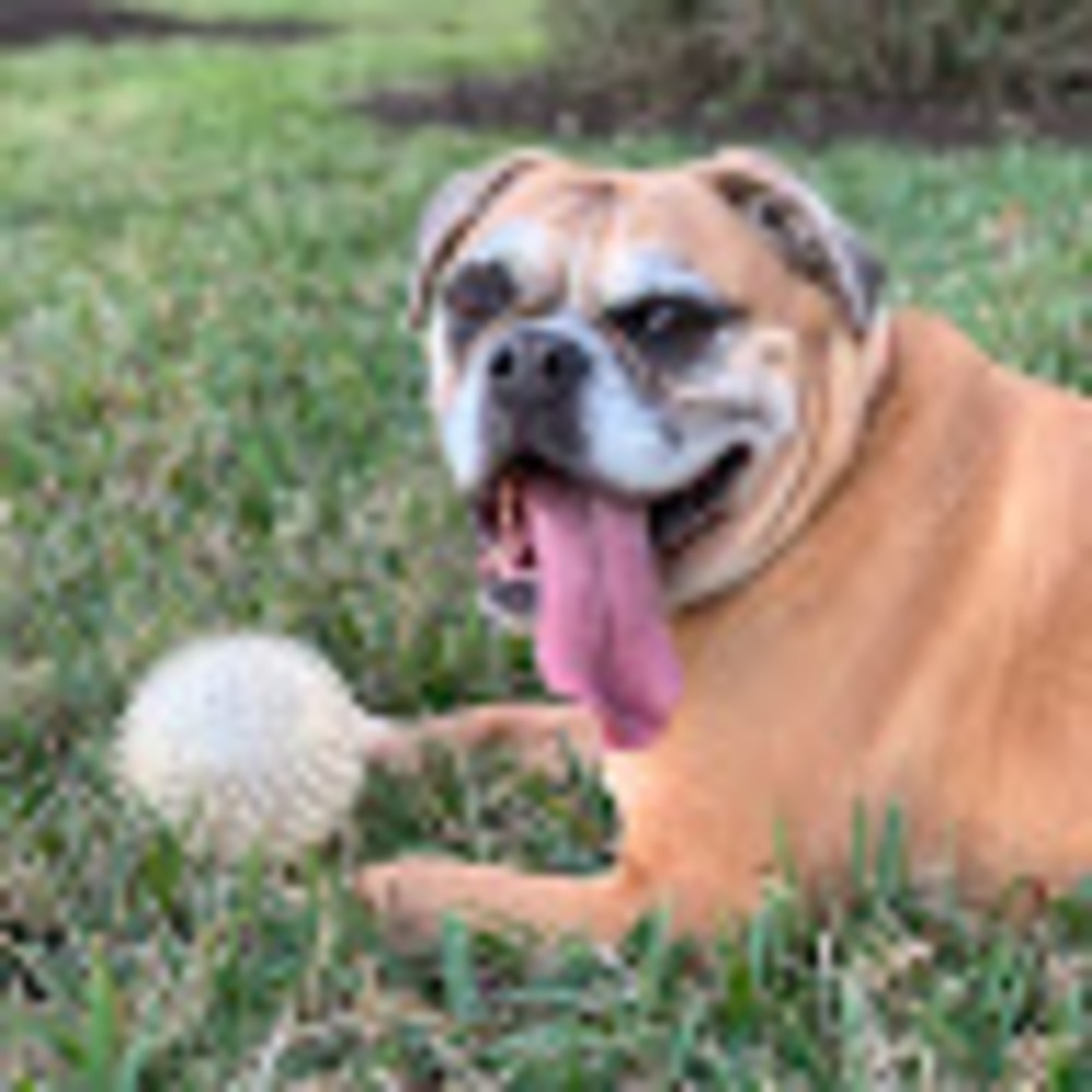 Meet your Posher, Hayley